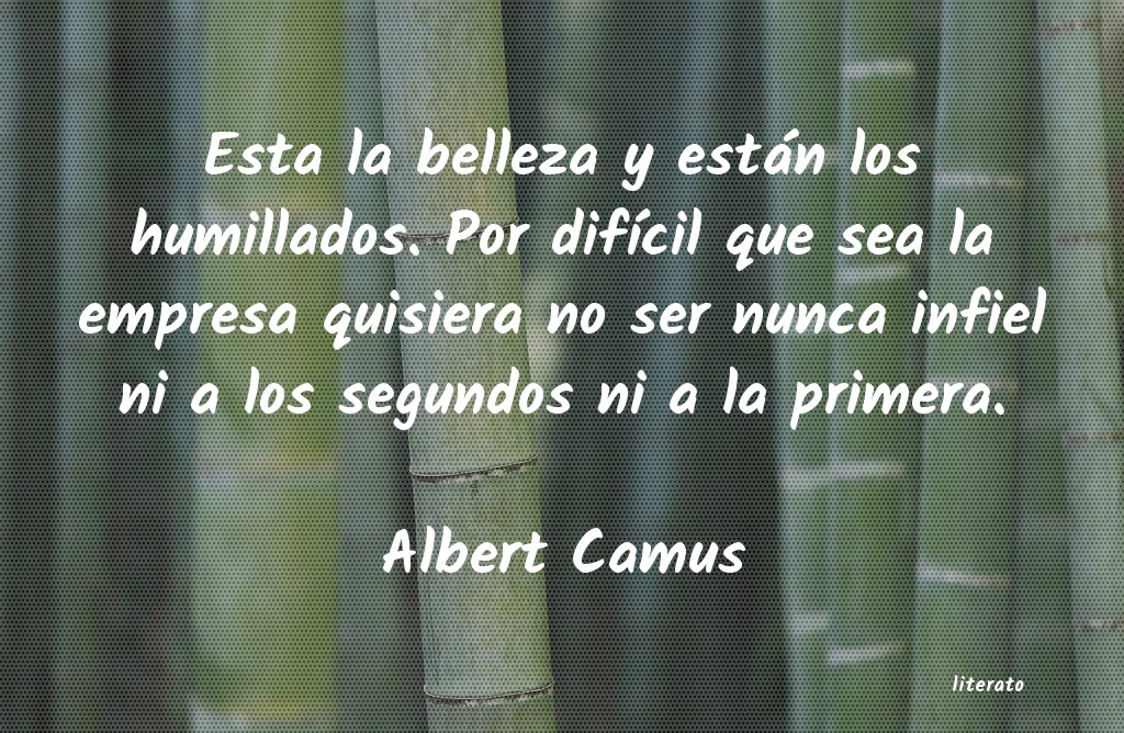 frases de Albert Camus