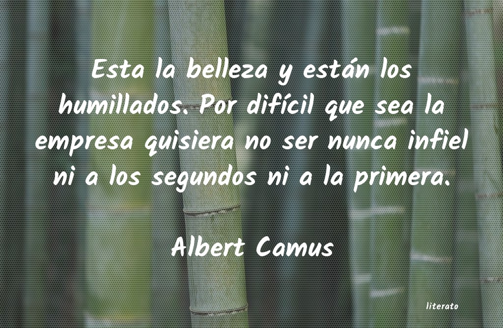 Frases de Albert Camus