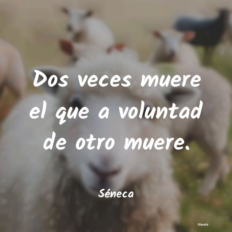 frases de Séneca