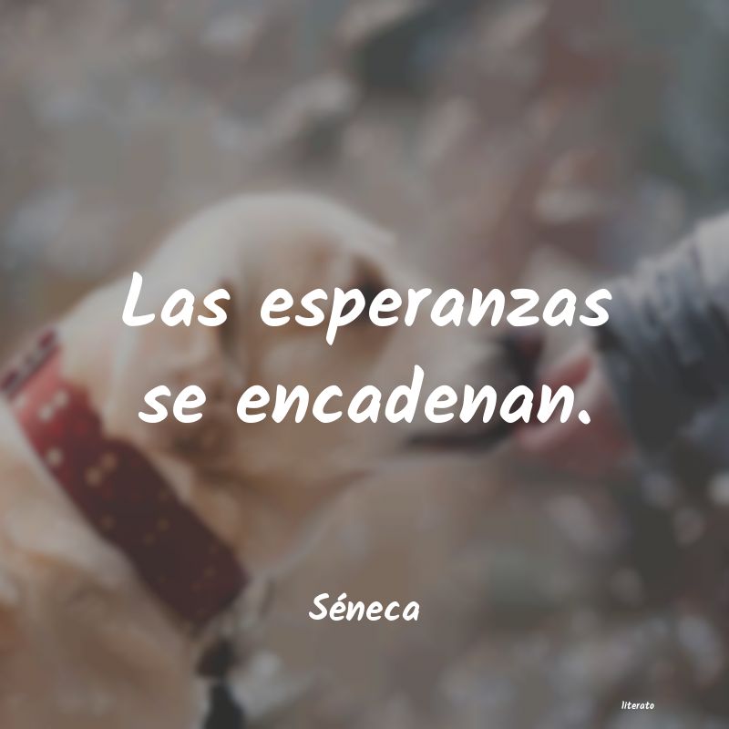 frases de Séneca