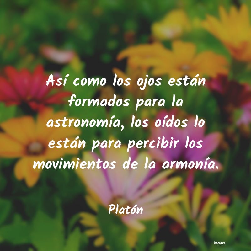 Frases de Platón