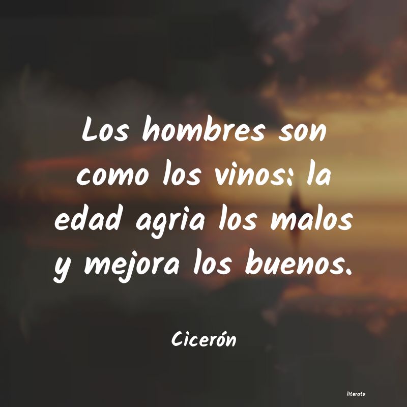 frases para hombres malos