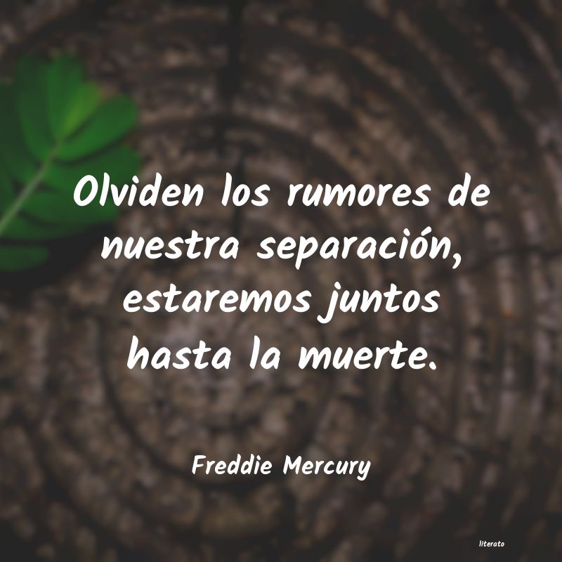 Frases de Freddie Mercury