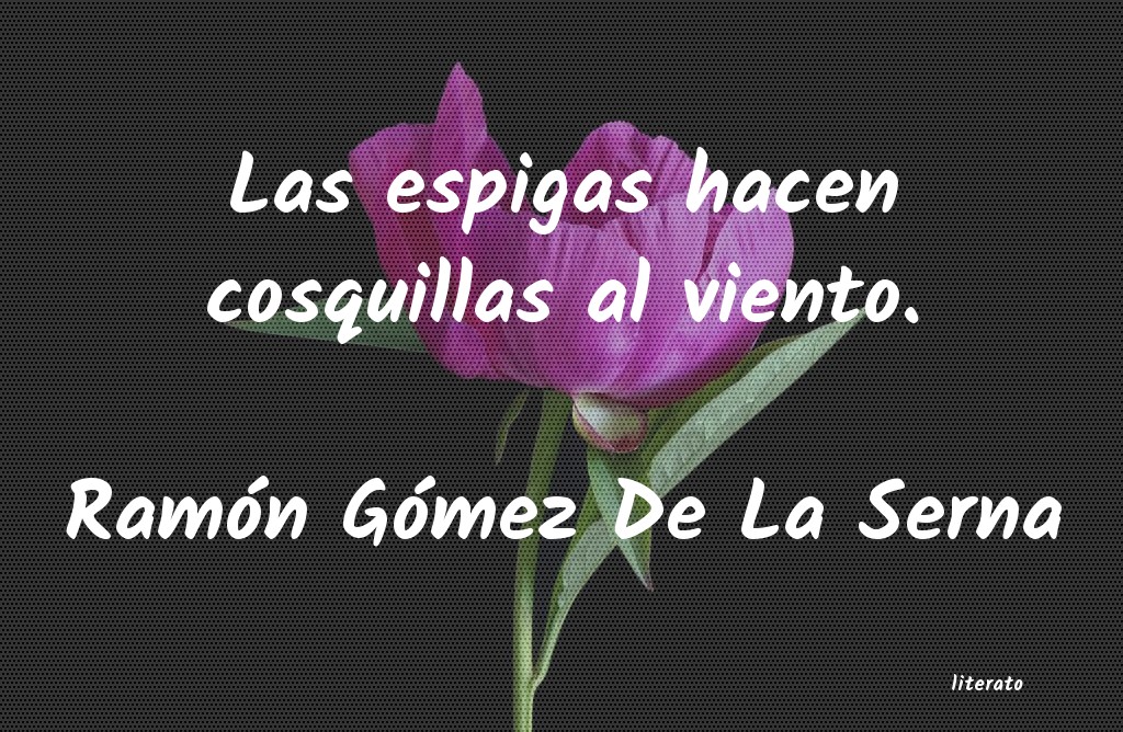 Frases de Ramón Gómez De La Serna