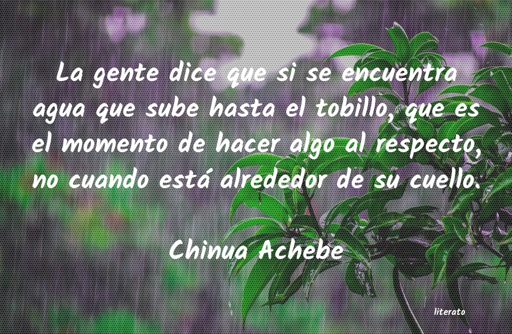 Frases de Chinua Achebe