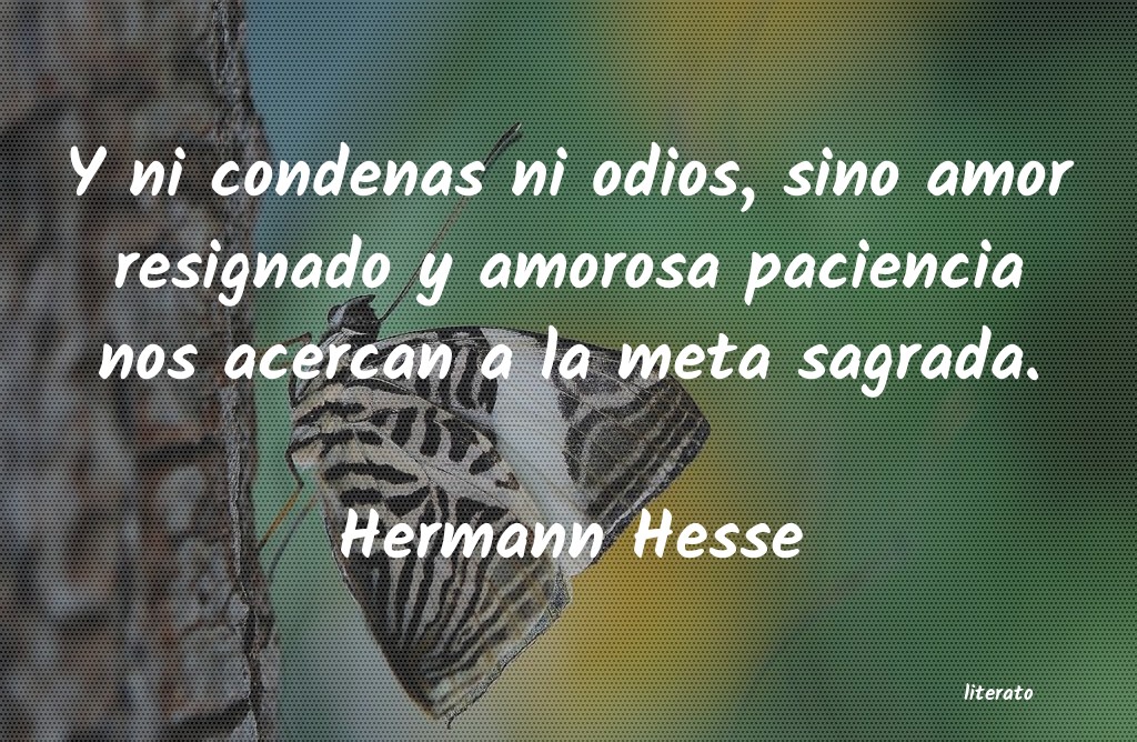 Frases de Hermann Hesse