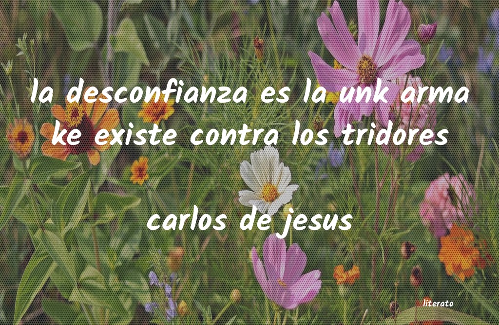 frases de carlos de jesus