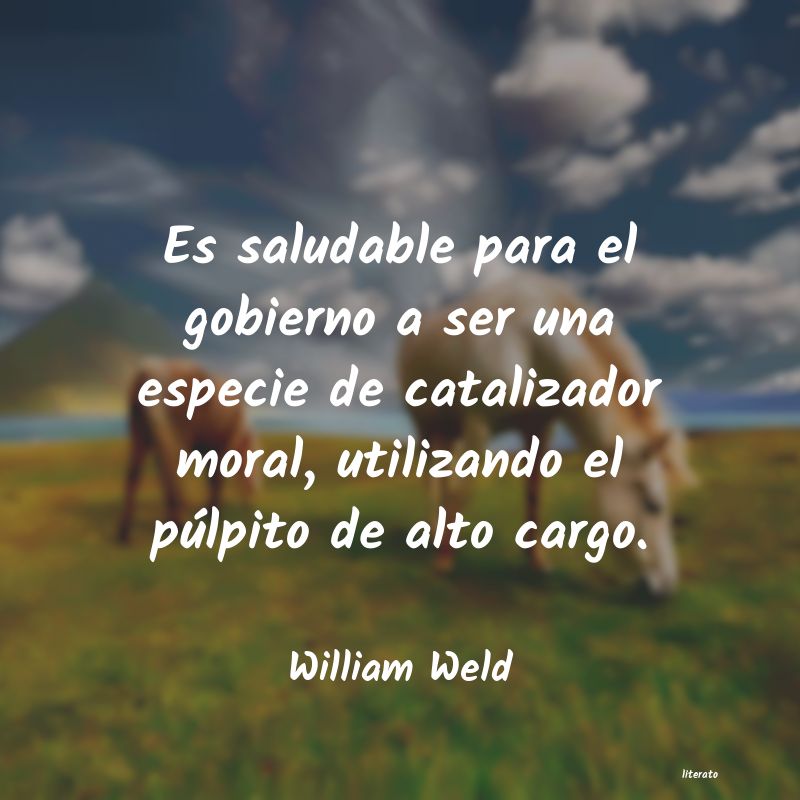 Frases de William Weld