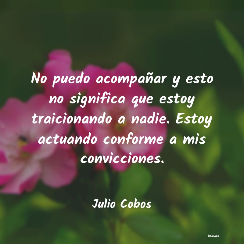 Frases de Julio Cobos
