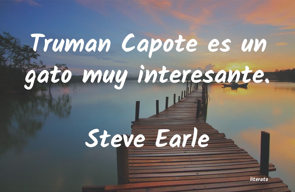 Frases de Steve Earle