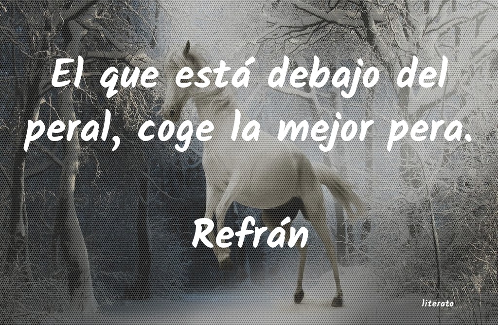 Frases de Refrán