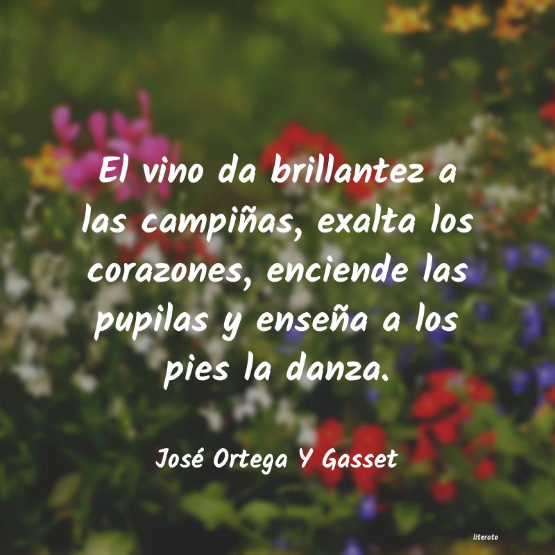 Frases de José Ortega Y Gasset