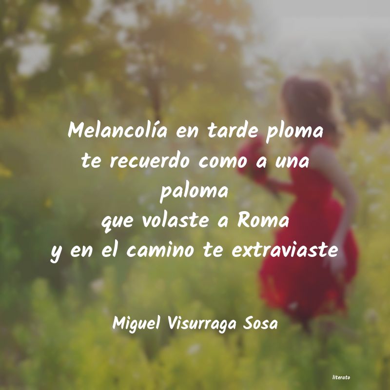frases de Miguel Visurraga Sosa