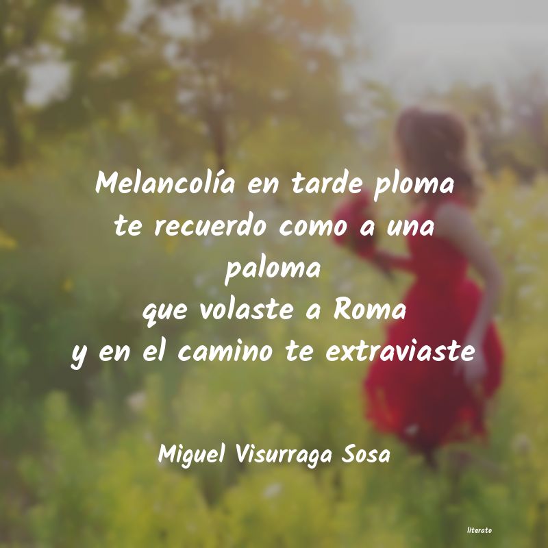 Frases de Miguel Visurraga Sosa