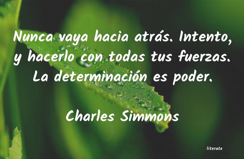 Frases de Charles Simmons