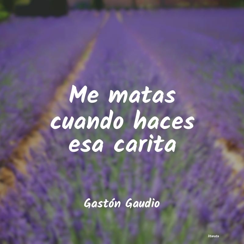 frases de Gastón Gaudio