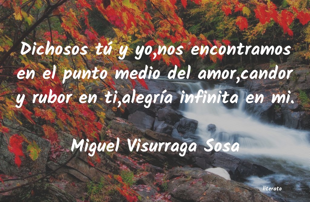 Frases de Miguel Visurraga Sosa