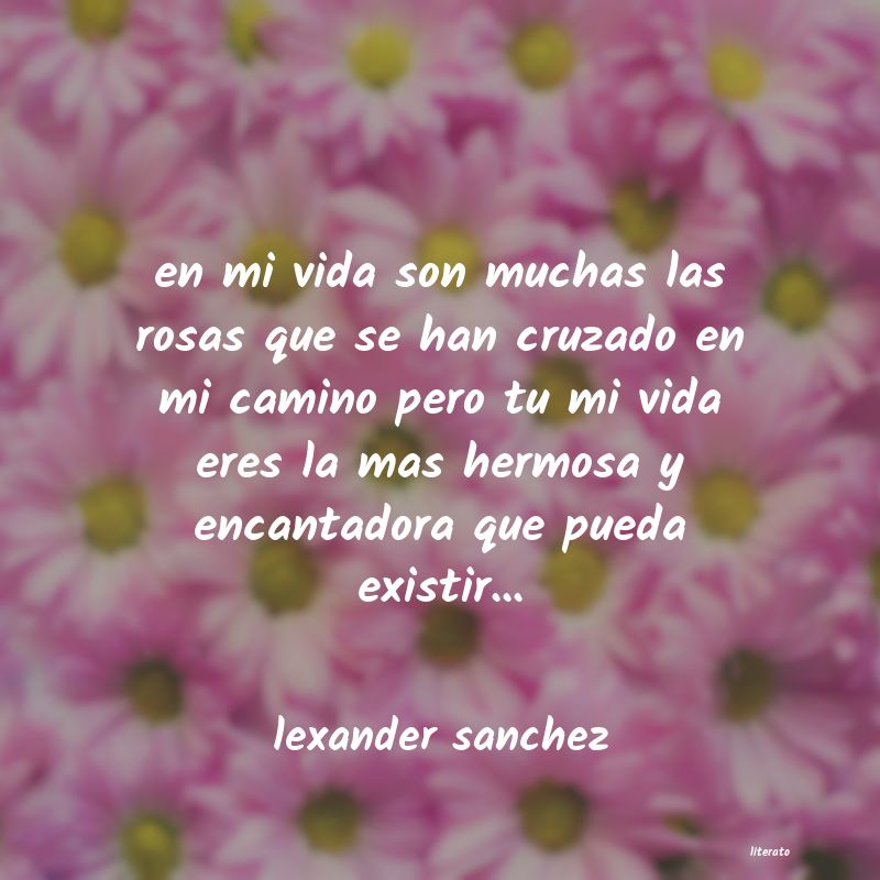 frases de lexander sanchez