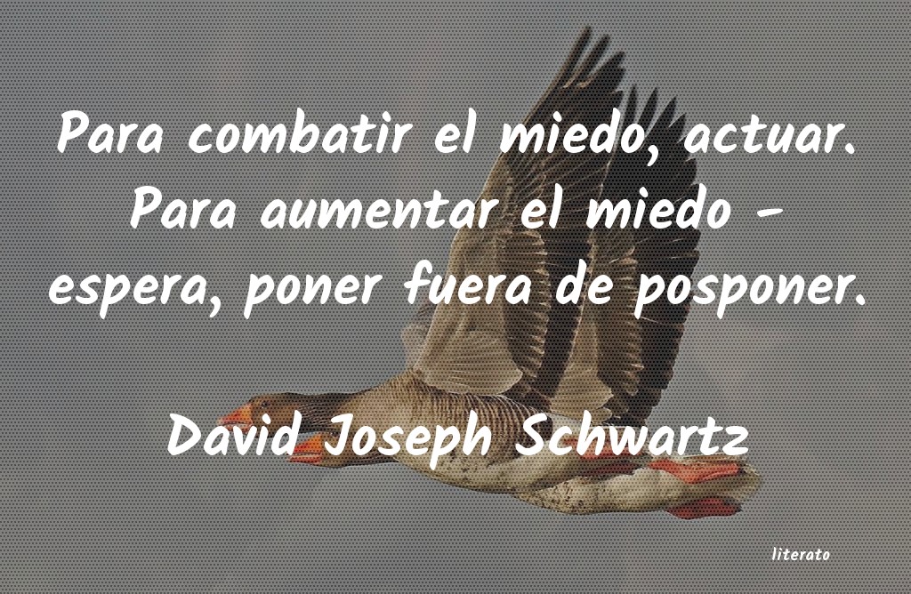 Frases de David Joseph Schwartz