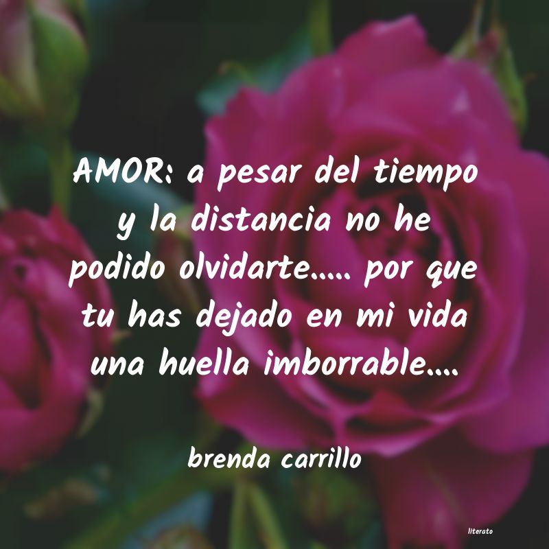 Frases de brenda carrillo