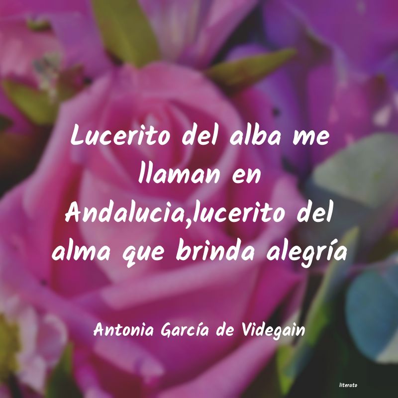 Frases de Antonia García de Videgain