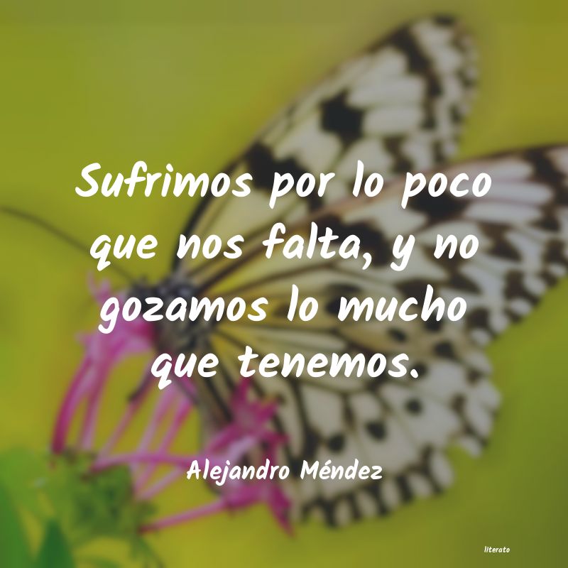 frases de Alejandro Méndez