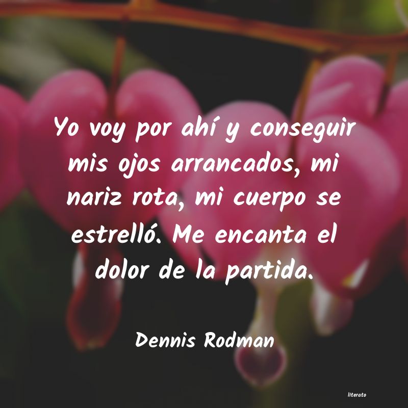 Frases de Dennis Rodman