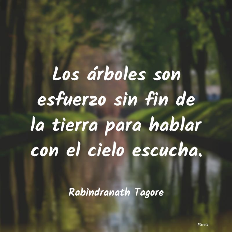 Frases de la tala de arboles - Literato (3)