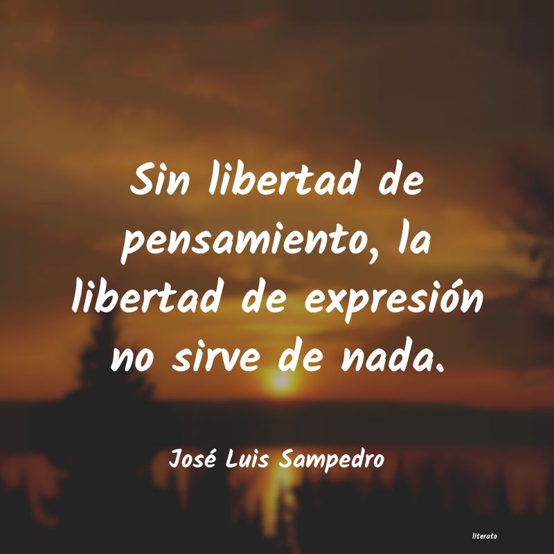 Frases de José Luis Sampedro