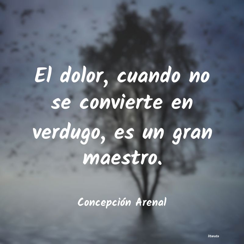 Frases de Concepción Arenal