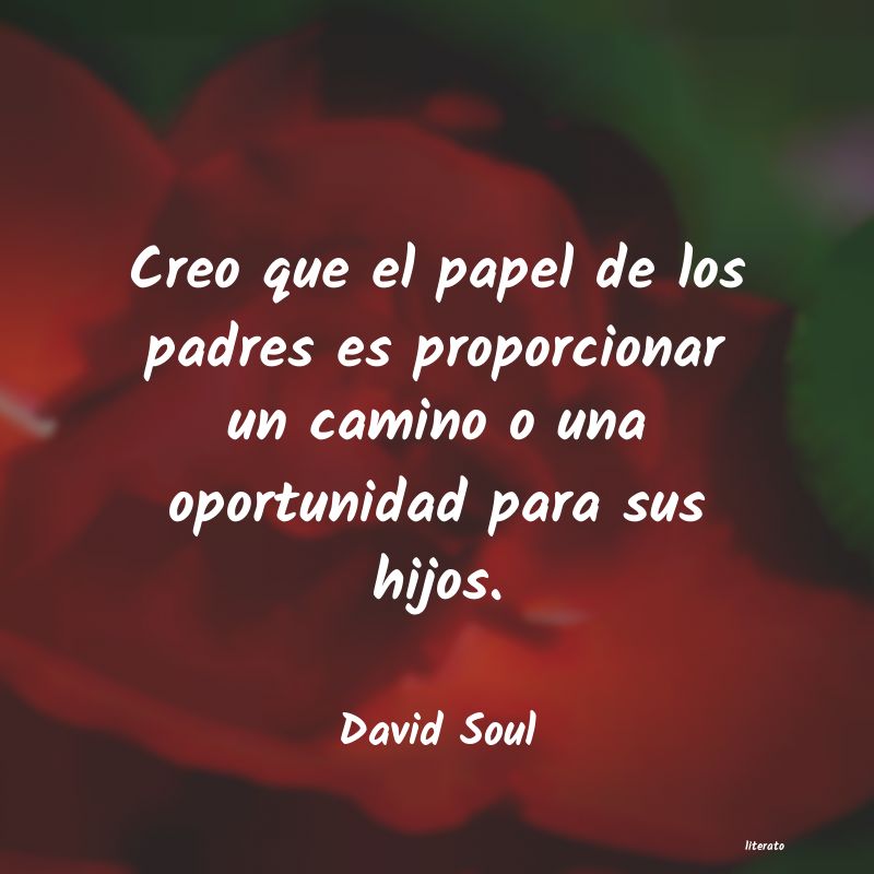 Frases de David Soul