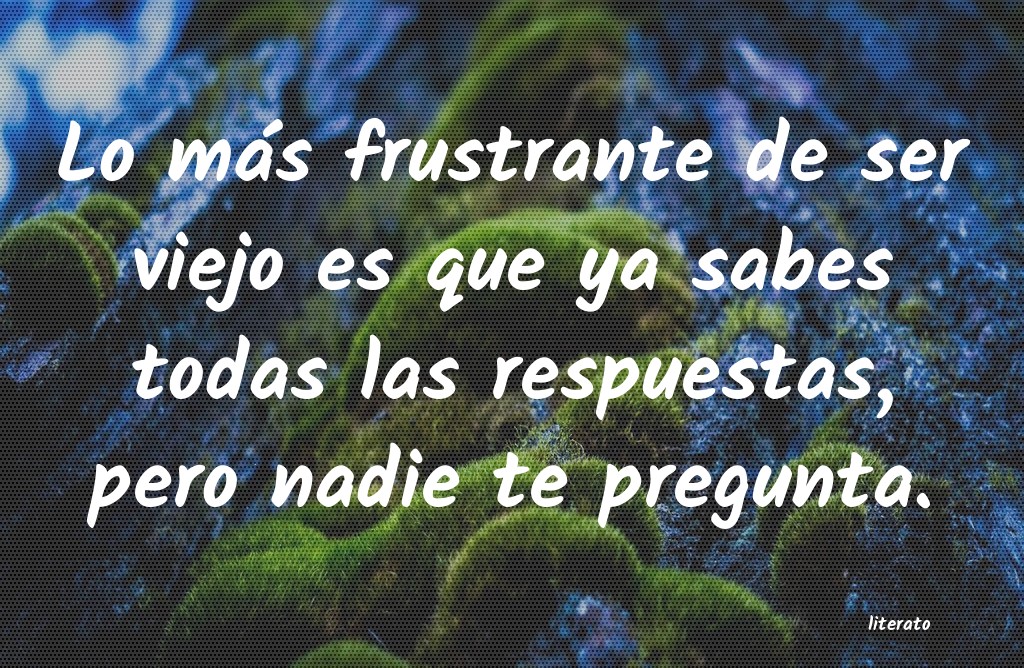 frases