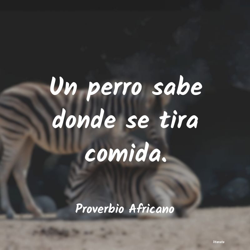 frases de Proverbio Africano