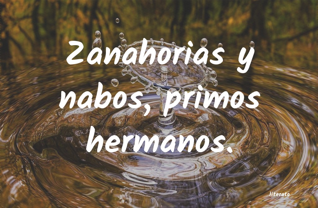 frases