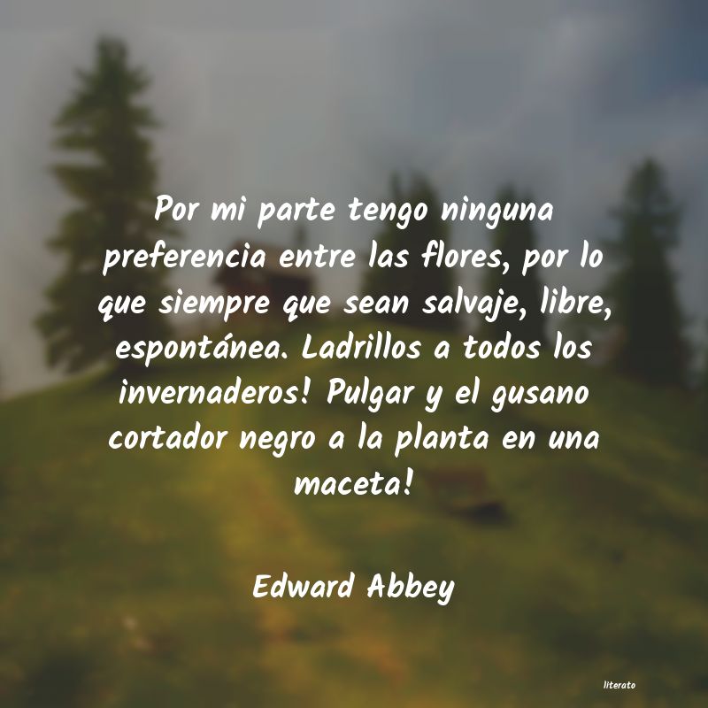 frases de Edward Abbey