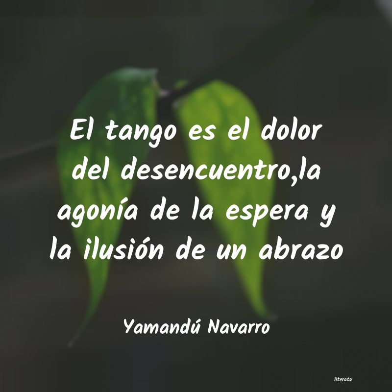 frases de Yamandú Navarro