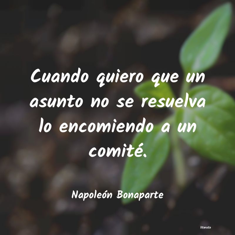 frases de NapoleÃ³n Bonaparte