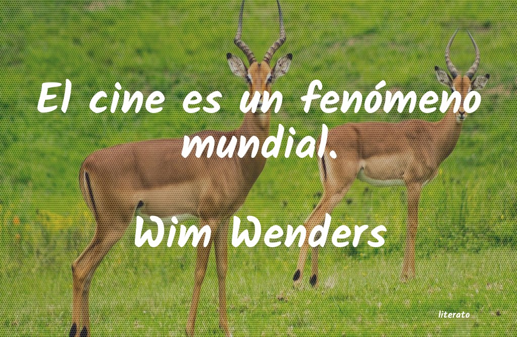 Frases de Wim Wenders