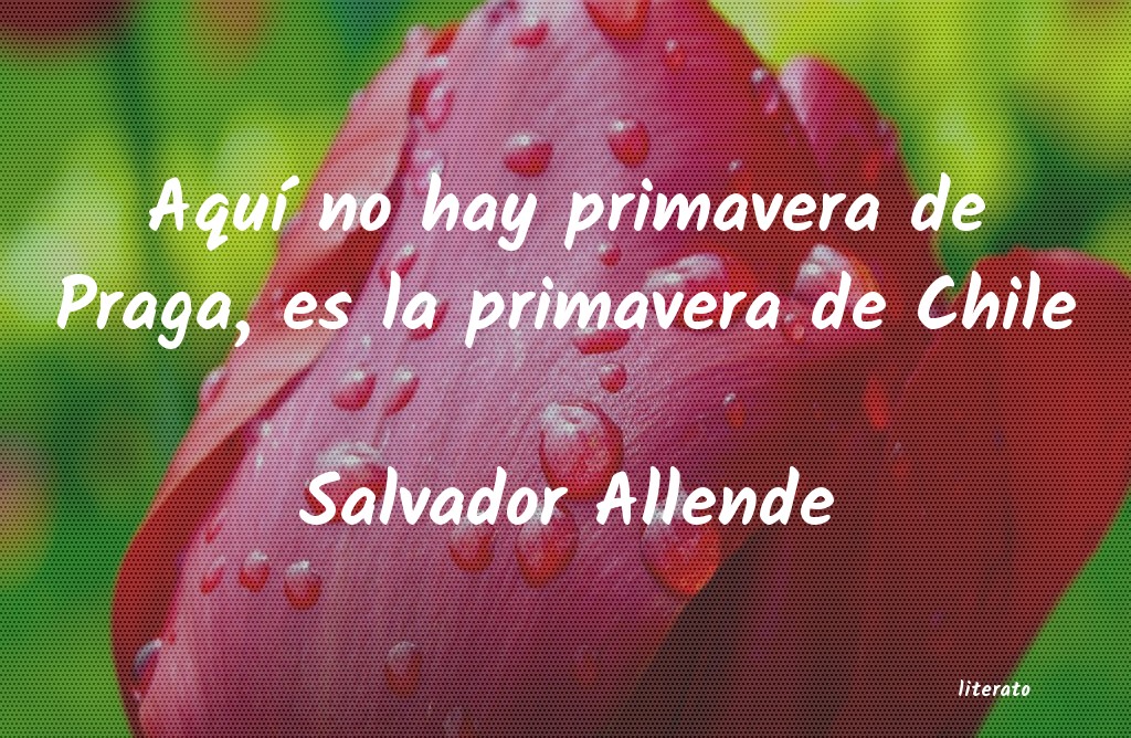 frases de Salvador Allende