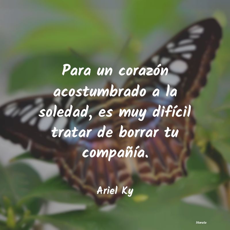 frases de Ariel Ky