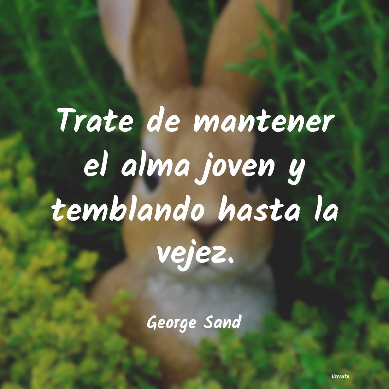 Frases de George Sand