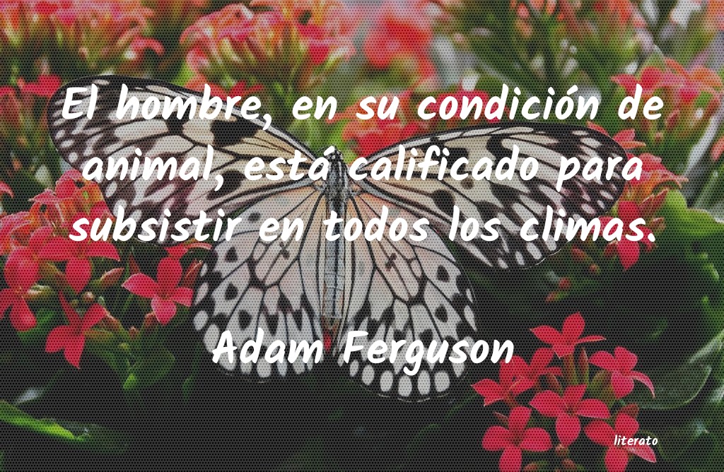 Frases de Adam Ferguson