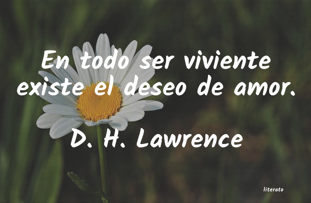 frases de D. H. Lawrence