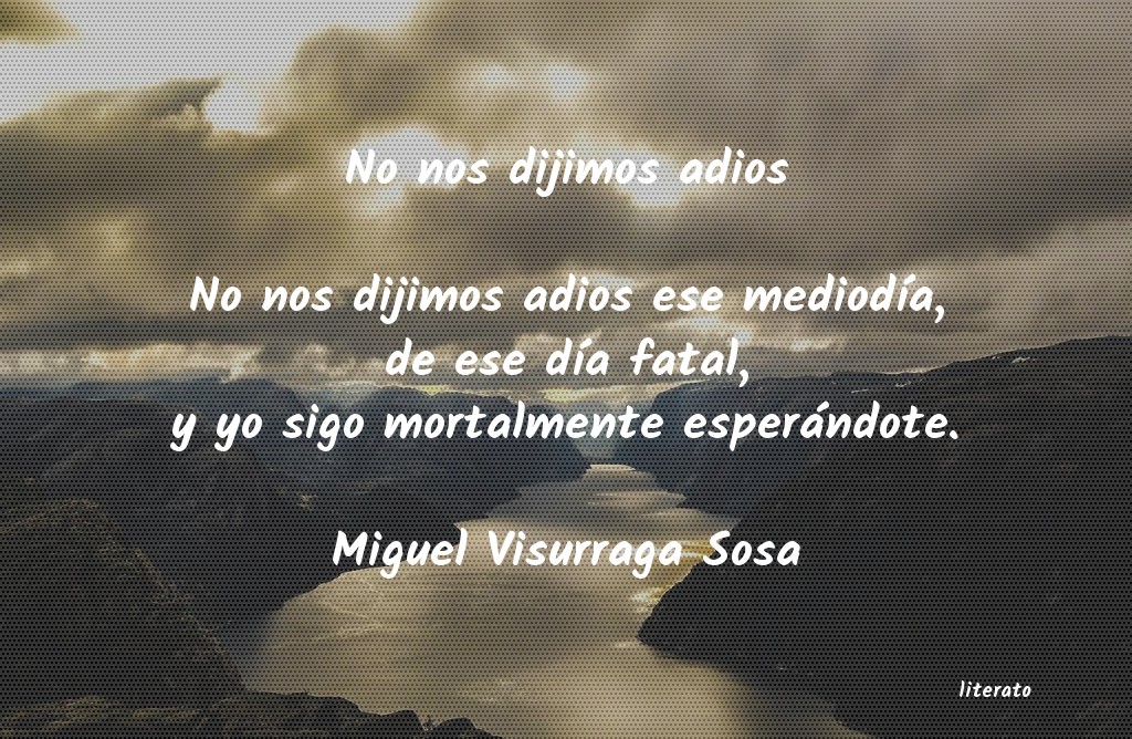 Frases de Miguel Visurraga Sosa