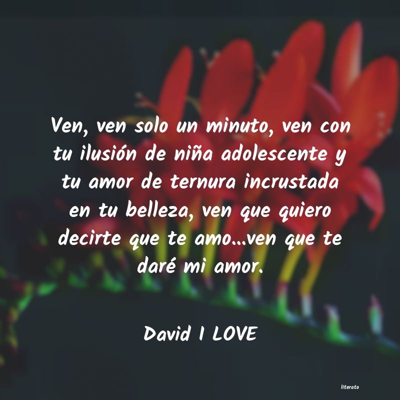 Frases de David I LOVE