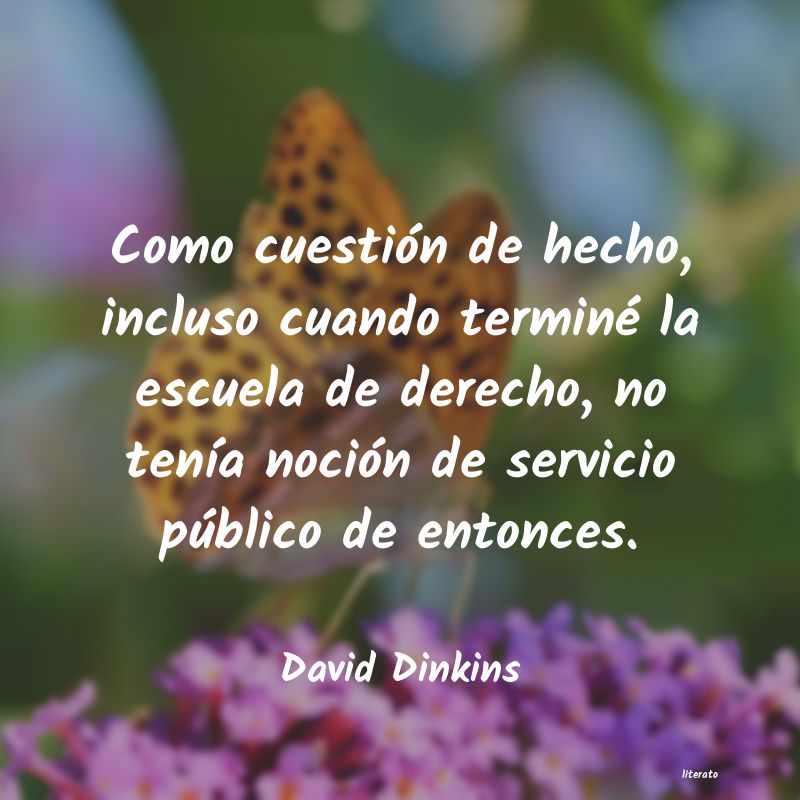 frases de David Dinkins