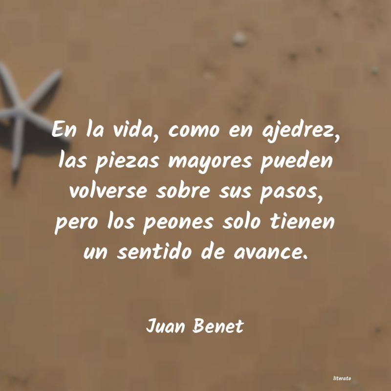 Frases de Juan Benet