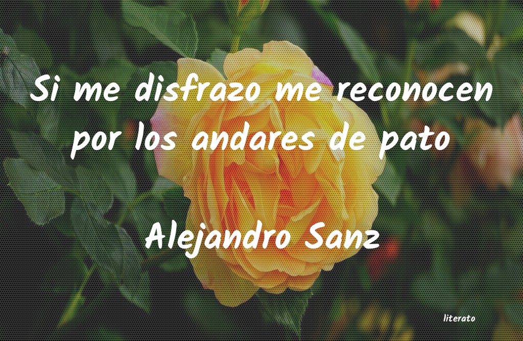 frases de Alejandro Sanz