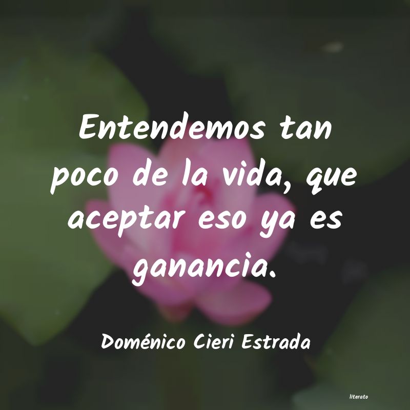 frases de refleccion de vida