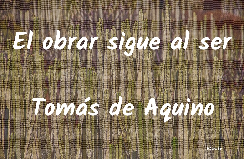 frases de Tomás de Aquino